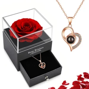 Colar com pingente de coração e delicada caixinha em formato de rosa artificial - Presente ideal para mulheres em aniversários, Natal e Dia das Mães.
Heart Necklace with Exquisite Simulation Rose Box - Women's Ideal Gift for Anniversary, Birthday, Christmas & Mother's Day